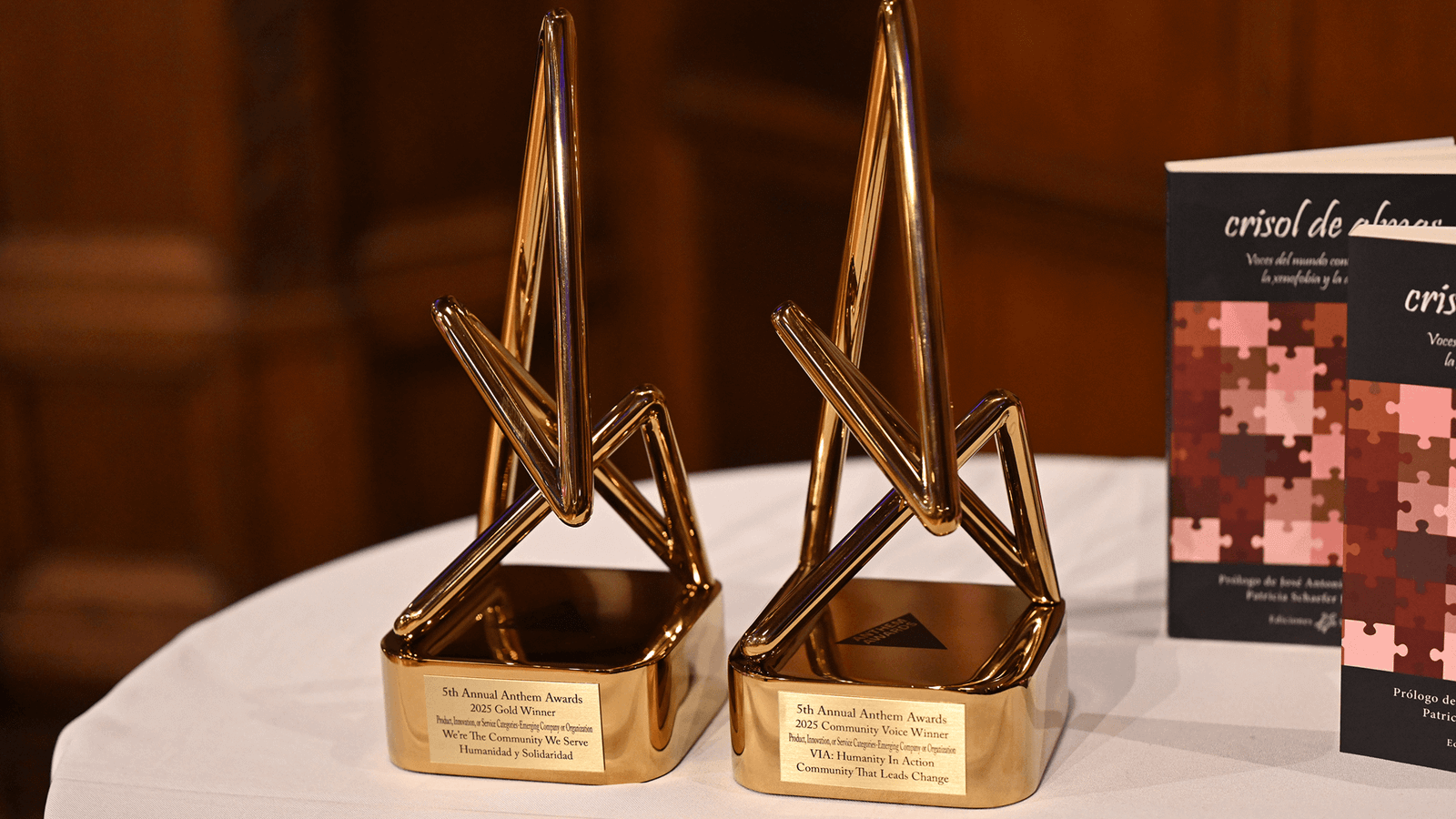Victoria Rojas Award Awards & recognitions - vianyc.org